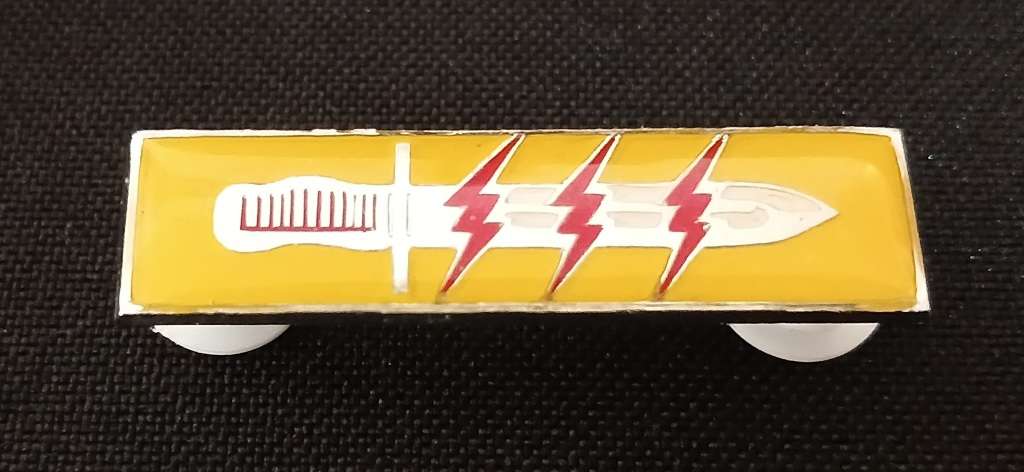 SADF / SANDF 61 Mech Battalion Operation Participation Bar    F228