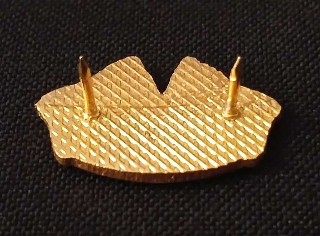 South African Rugby Lapel Pin Badge  -  SADF - SAAF -  SA NAVY - SAMS                            R89