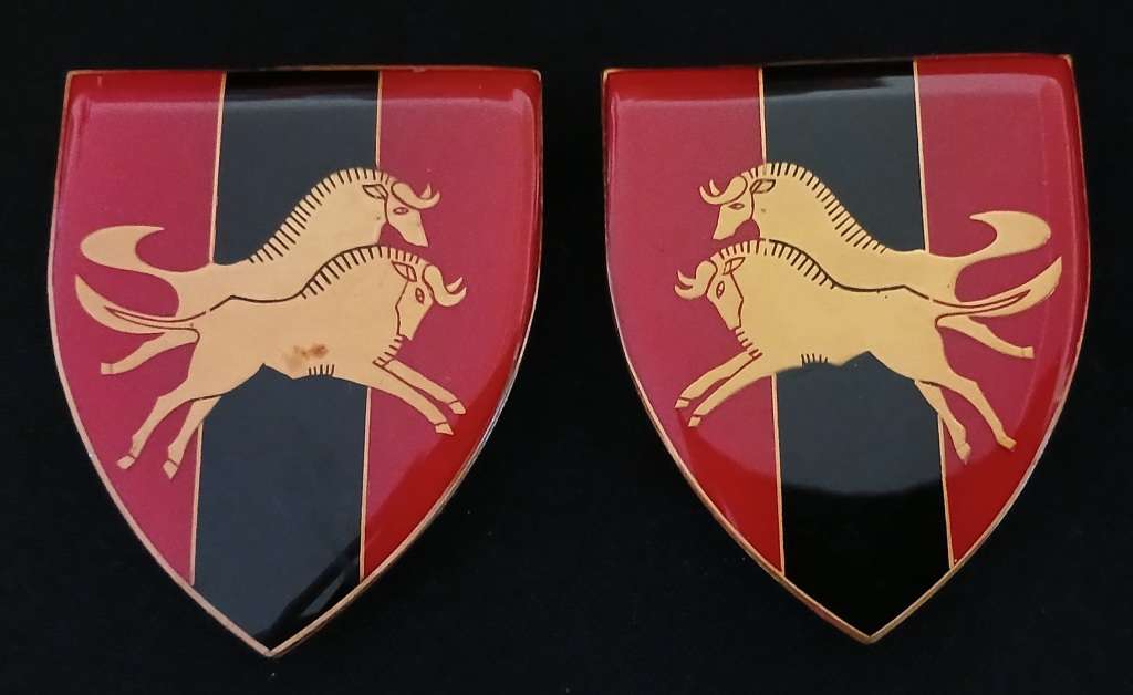 NATAL COMMAND PROVOST UNIT SHOULDER FLASH PAIR                         MM32