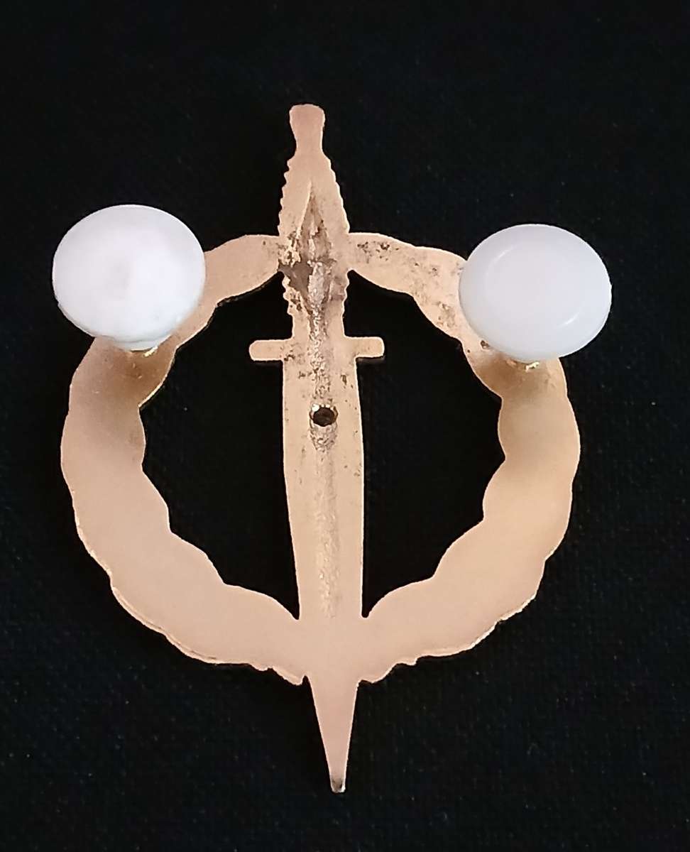 SADF Recce operator badge - 10 year active service - Gold colored - No number                   R152