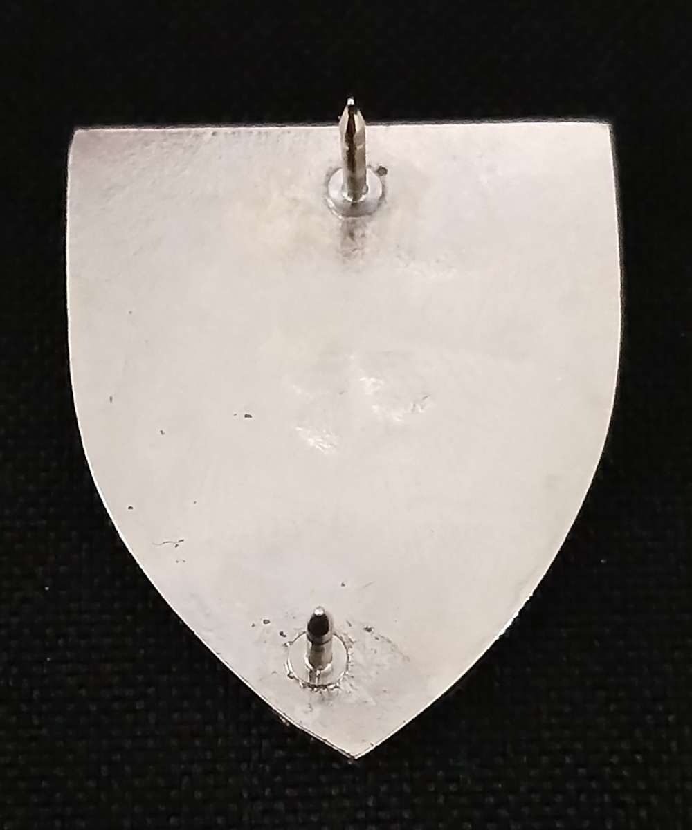 4 RECCE Commando Affiliation Fob     Size: 25mm x 30mm               L15