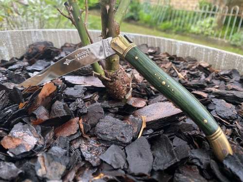 Laguiole French Folding Knife