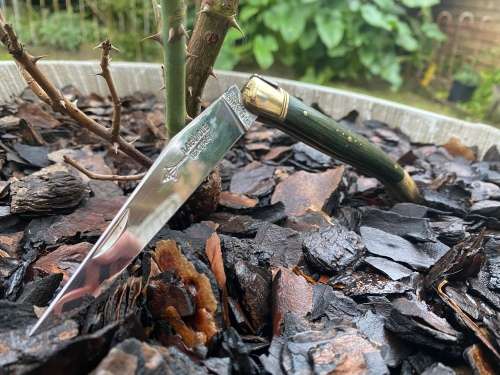 Laguiole French Folding Knife