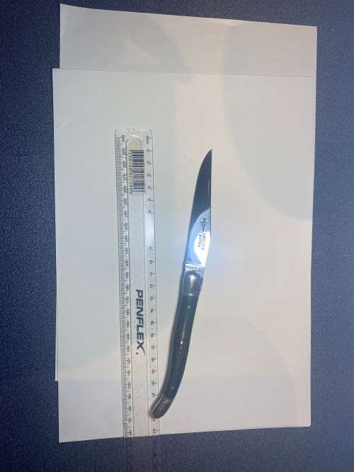 Laguiole French Folding Knife