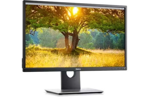 Dell 24 Monitor: P2417H