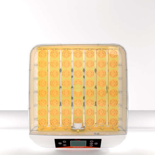 56 egg incubator