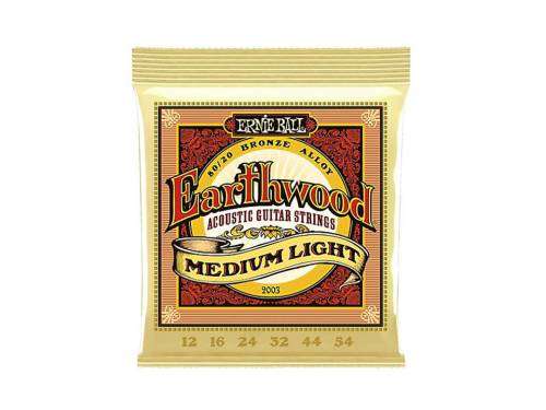 Guitar Acoustic Strings: Ernie Ball Earthwood Medium Light 2003