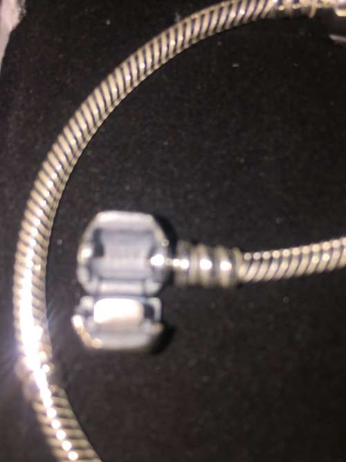 Pandora Clasp Charm Bracelet