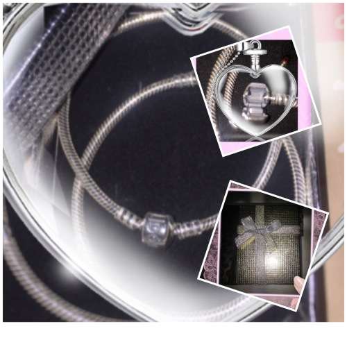 Pandora Clasp Charm Bracelet