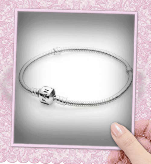 Pandora Clasp Charm Bracelet