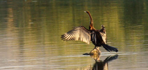 Magaliespark 27 December 2019 to 3 January 2020