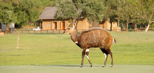 Magaliespark 27 December 2019 to 3 January 2020