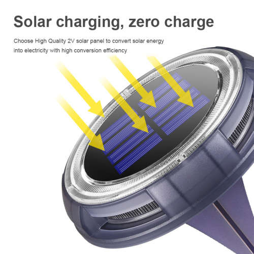 Solar Outdoor Buried Light 8 LED IP65 - Blue