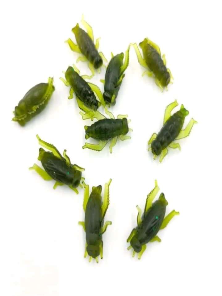 60pc cricket bait for fishing
