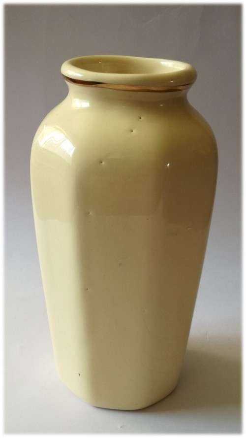 Beige with gold coloured decorative flower Vase