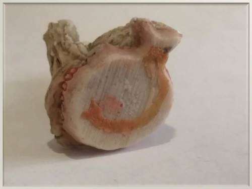 Miniature Resin Eagle