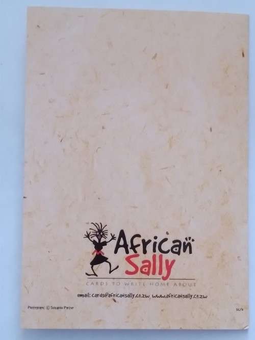 Blank card   18cm x 12.5cm