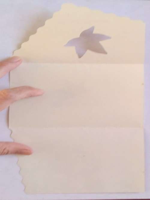 Clearance Sale - General Card  +  Envelope   13cm x 10cm