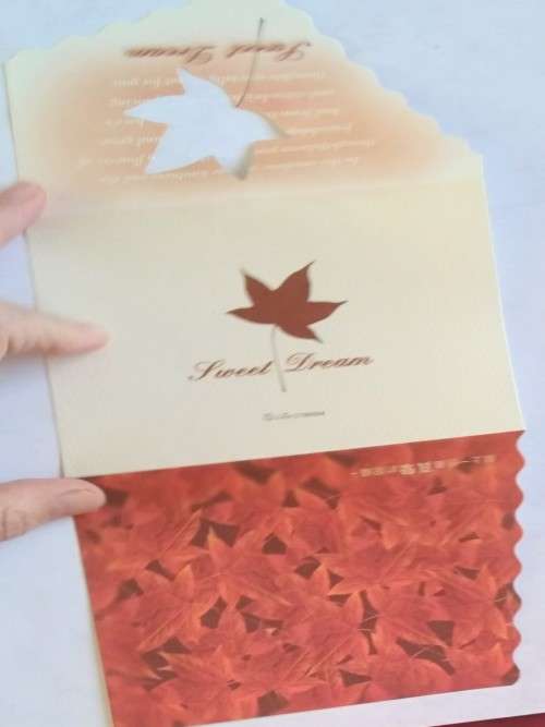 Clearance Sale - General Card  +  Envelope   13cm x 10cm