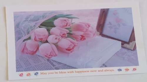 Clearance Sale - General Card  +  Envelope   17.5cm x 13cm