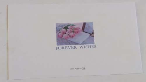 Clearance Sale - General Card  +  Envelope   17.5cm x 13cm