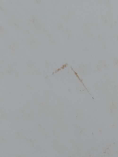 Clearance Sale - Unused General Card  +  Envelope   20.5cm x 14cm  -  See Note