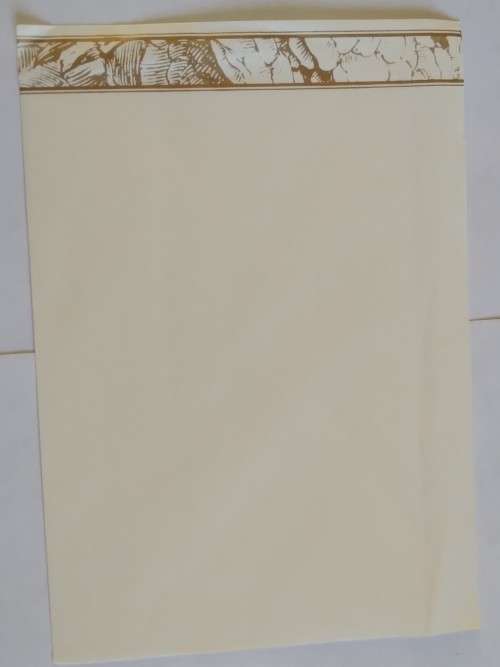 Clearance Sale - Unused General Card  +  Envelope   20.5cm x 14cm  -  See Note