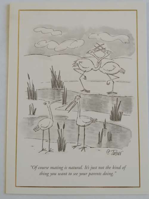 Clearance Sale - Valentines Card + Envelope  17.5cm x 12.5cm