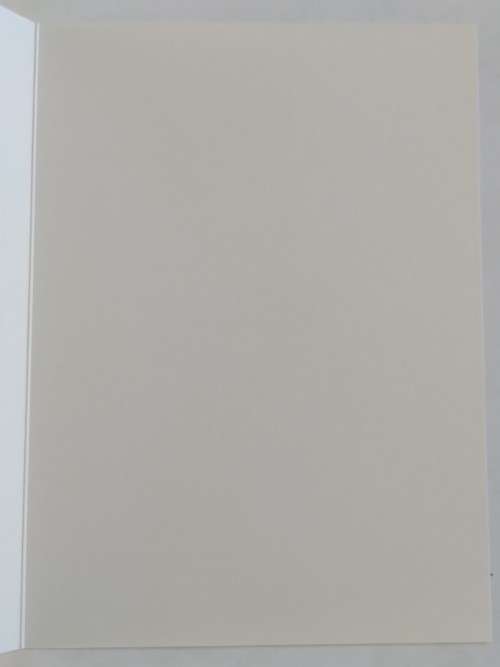 Clearance Sale - Valentines Card + Envelope  17.5cm x 12.5cm