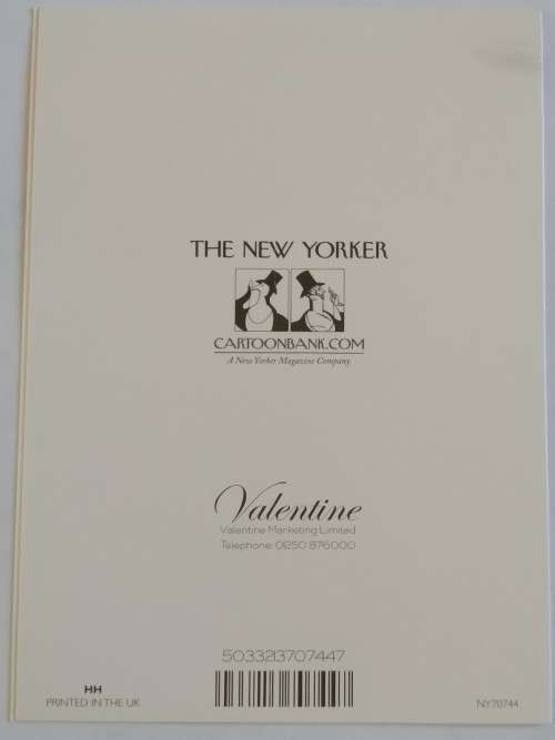 Clearance Sale - Valentines Card + Envelope  17.5cm x 12.5cm