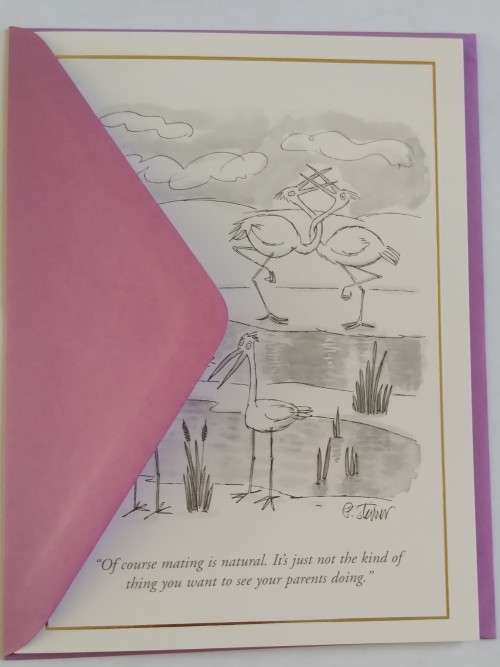 Clearance Sale - Valentines Card + Envelope  17.5cm x 12.5cm