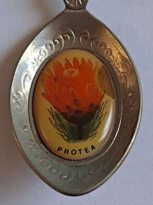 Vintage souvenir spoon -Pilgrims Rest -  Protea