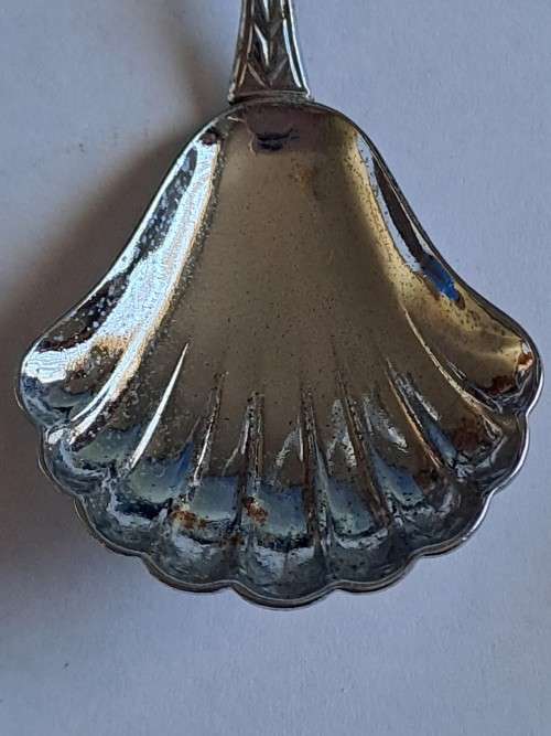 Vintage souvenir spoon -River bend crocodile farm -  KZN