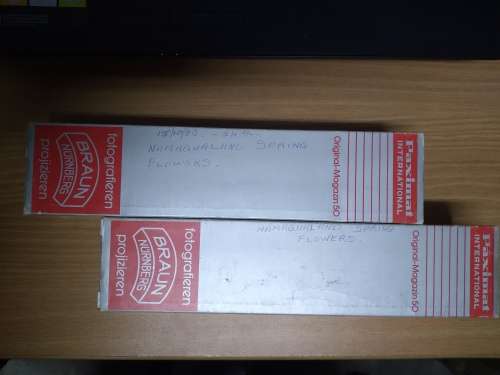 70 x Vintage 35mm Slides - Spring 1983 Namaqualand Tour