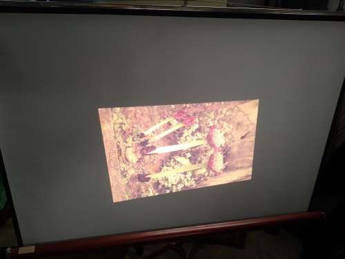 Hanimex La Ronde 35mm Slide Projector + Tripod Projection Screen