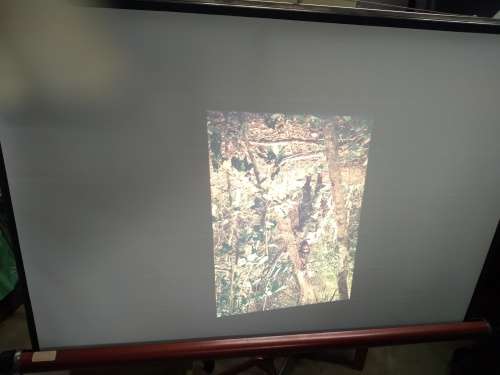 Hanimex La Ronde 35mm Slide Projector + Tripod Projection Screen