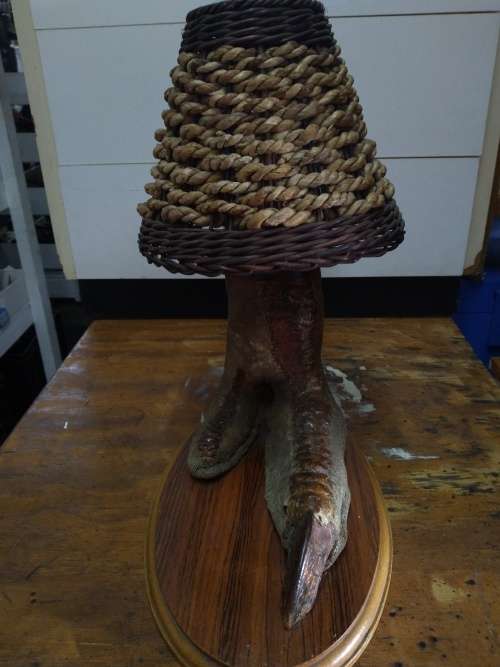 Taxidermy Ostrich Foot (lamp, no wiring)