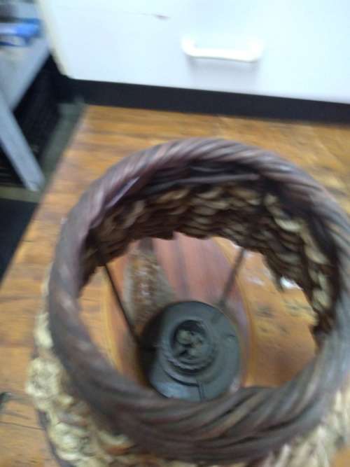 Taxidermy Ostrich Foot (lamp, no wiring)