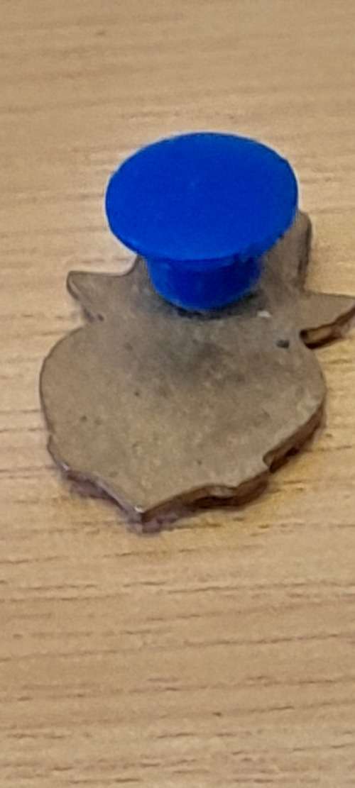 SA 78 Red Cross Society Blood Donor Pin