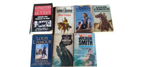 Odd Lot Vintage Pre-loved but Forgotten Books (17)