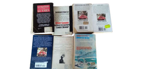 Odd Lot Vintage Pre-loved but Forgotten Books (17)