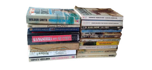 Odd Lot Vintage Pre-loved but Forgotten Books (17)