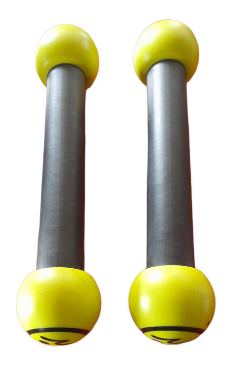 ZUMBA Fitness Body Shaping Systems Toning Sticks Shakers 1 LB Hand Weights Only