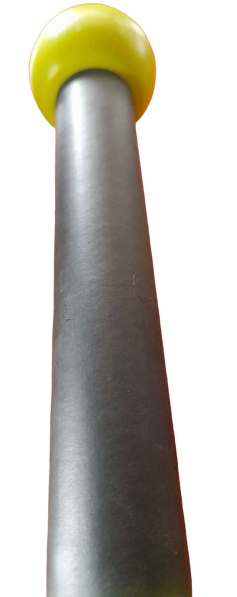 ZUMBA Fitness Body Shaping Systems Toning Sticks Shakers 1 LB Hand Weights Only