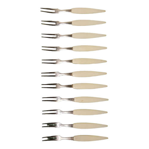 Queen scallop sea shells and shellfish forks