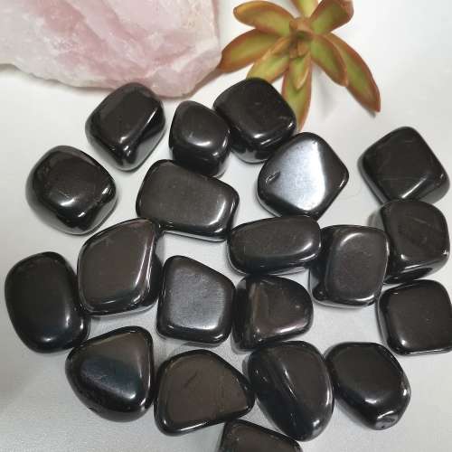Shungite Tumbles