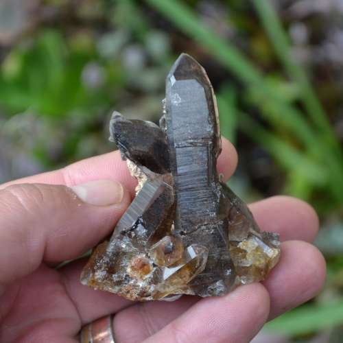 Smoky Quartz Cluster