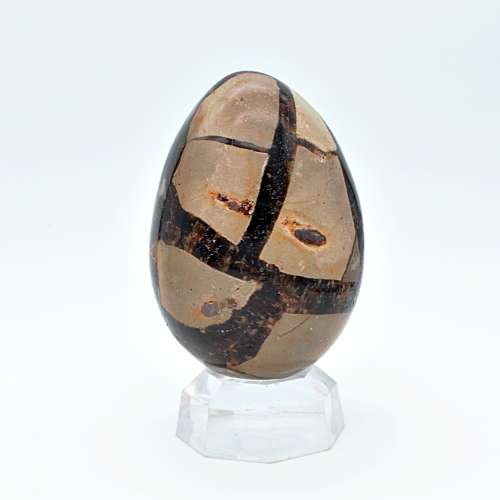 Septarian `Dragon`s Egg` Geode