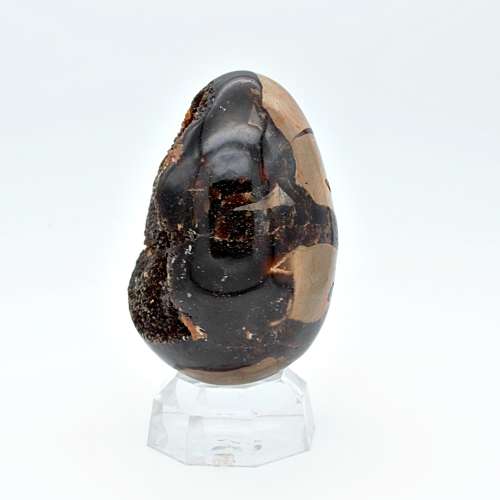 Septarian `Dragon`s Egg` Geode