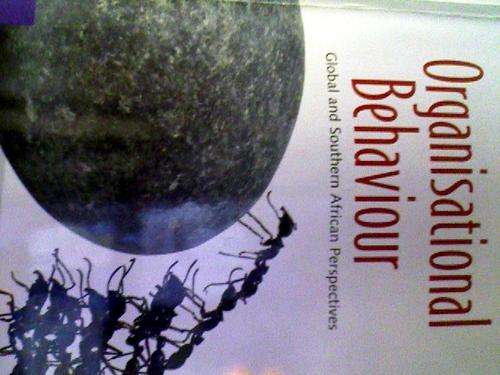 ORGANISATIONAL BEHAVIOUR : GLOBAL AND SOUTHERN AFRICAN PERSPECTIVES